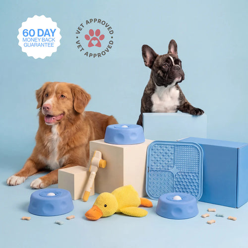 The Bowl That Turns Off Your Dog's Anxiety