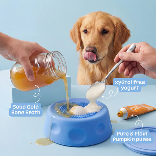 The Bowl That Turns Off Your Dog's Anxiety