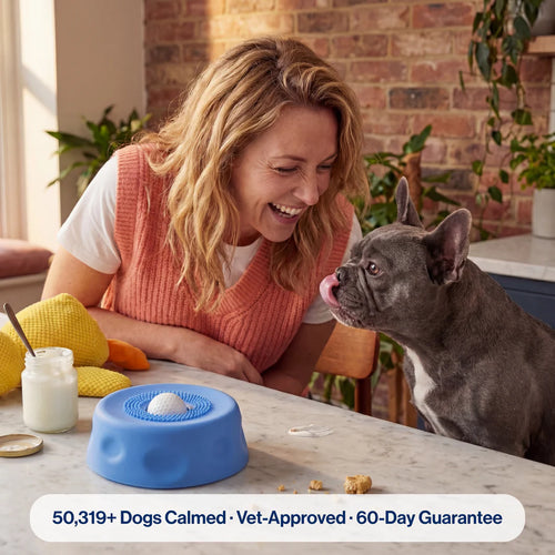 The Bowl That Turns Off Your Dog's Anxiety