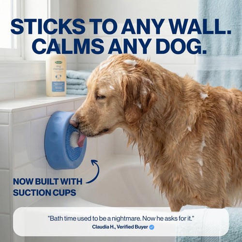 The Bowl That Turns Off Your Dog's Anxiety