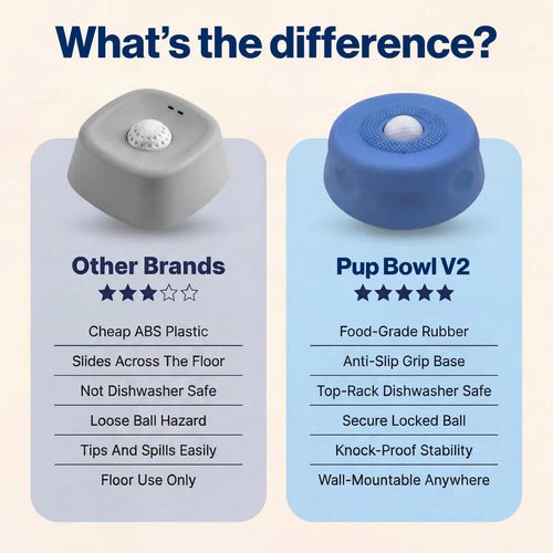 The Bowl That Turns Off Your Dog's Anxiety