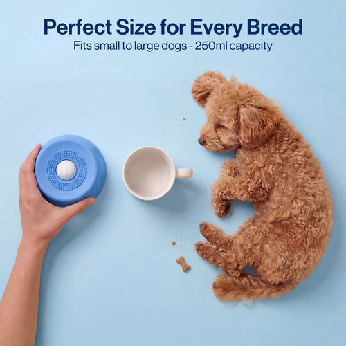 The Bowl That Turns Off Your Dog's Anxiety